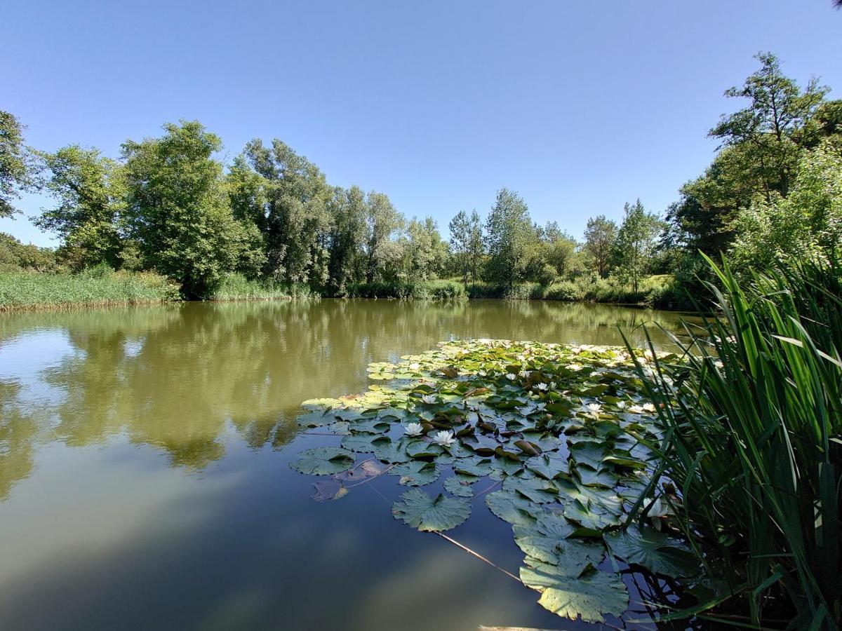 White Acre'S Holiday Park, 602 Sycamore Forest Saint Enoder エクステリア 写真